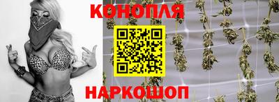 Альфа ПВП Берёзовский
