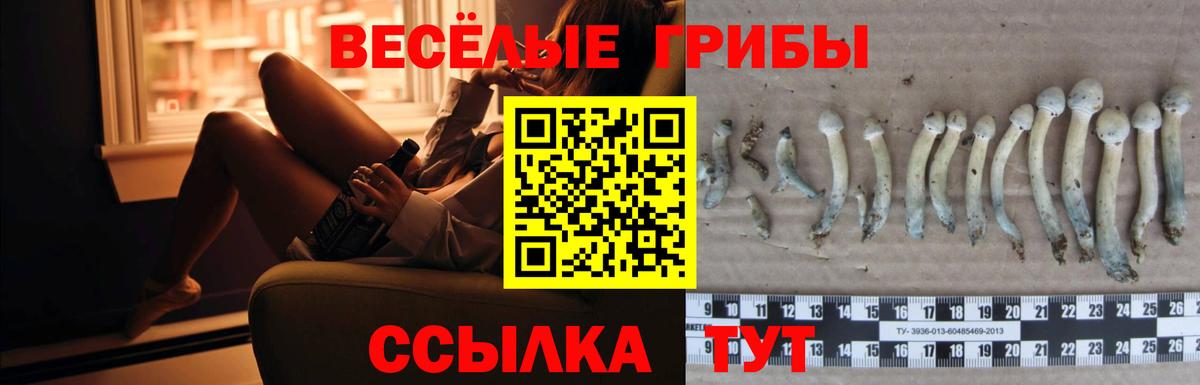 Псилоцибиновые грибы мицелий  Вход с VPN  Ипатово  Галлюциногенные грибы Magic Shrooms 